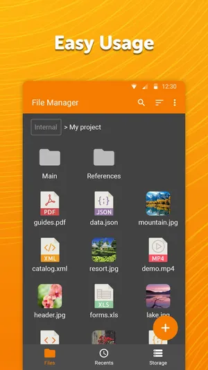 Simple File Manager Pro